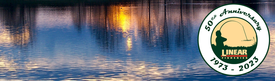 A view of Linear Fisheries