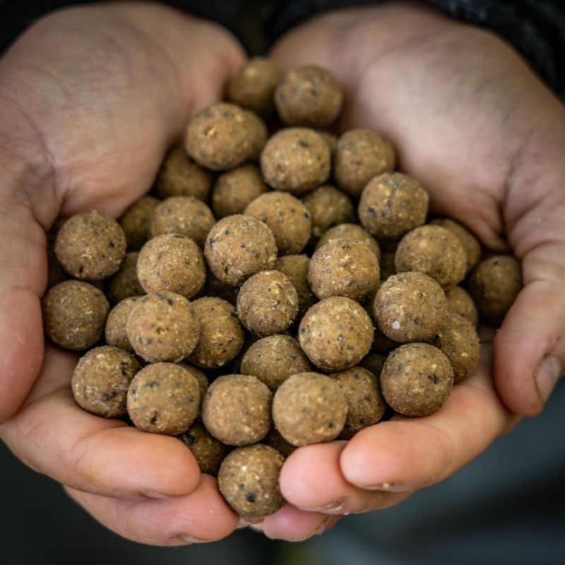 RG Baits Arctic Crab Freezer Boilies